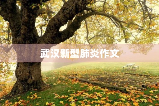 武汉新型肺炎作文