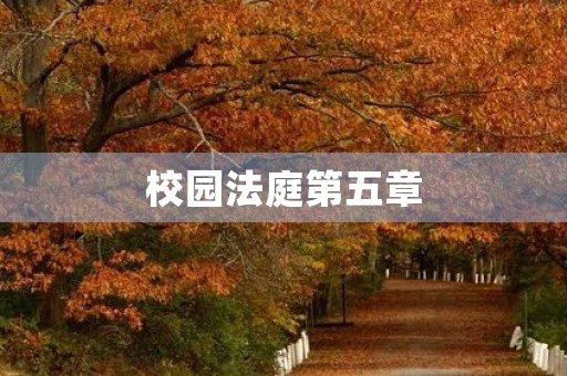 校园法庭第五章