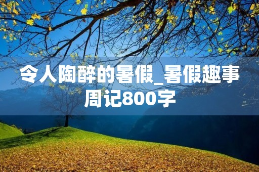 令人陶醉的暑假_暑假趣事周记800字