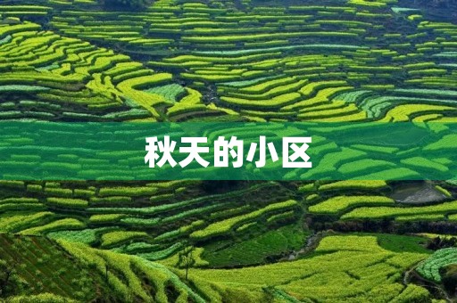 秋天的小区 秋天的小区