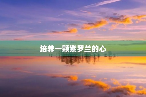 培养一颗紫罗兰的心