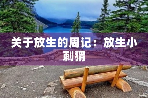 关于放生的周记:放生小刺猬 关于放生的周记:放生小刺猬