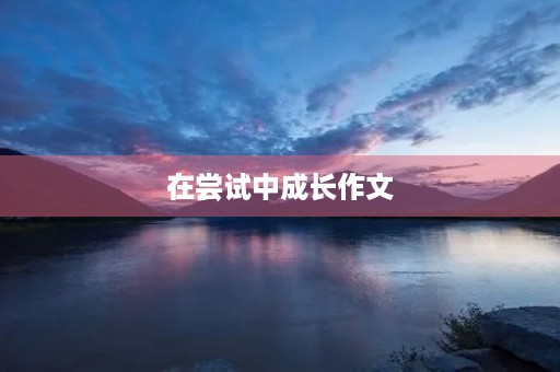 在尝试中成长作文 在尝试中成长作文