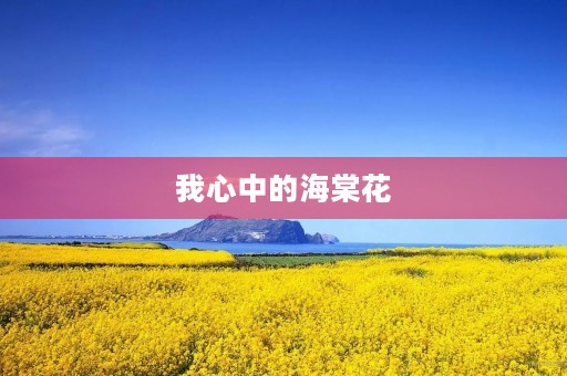我心中的海棠花 我心中的海棠花