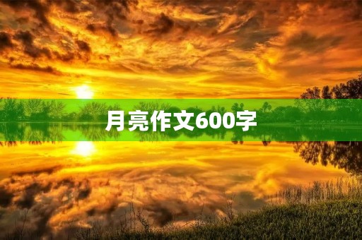 月亮作文600字