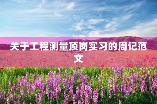 关于工程测量顶岗实习的周记范文