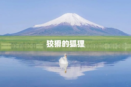 狡猾的狐狸 狡猾的狐狸