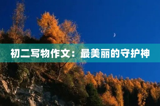 初二写物作文:最美丽的守护神 初二写物作文:最美丽的守护神