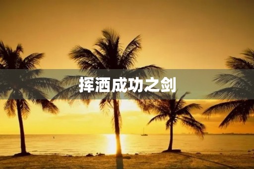 挥洒成功之剑 挥洒成功之剑