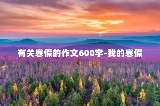 有关寒假的作文600字-我的寒假