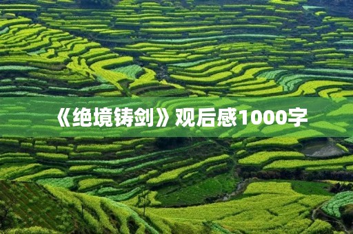 《绝境铸剑》观后感1000字