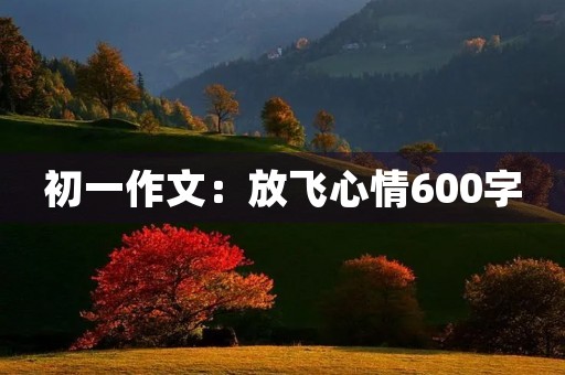 初一作文:放飞心情600字 初一作文:放飞心情600字