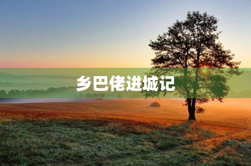 乡巴佬进城记