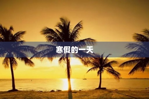 寒假的一天 寒假的一天