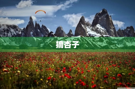 摘杏子 摘杏子