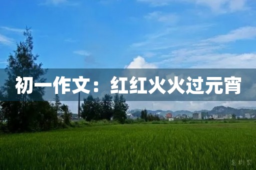 初一作文：红红火火过元宵