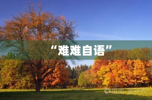 “难难自语” “难难自语”