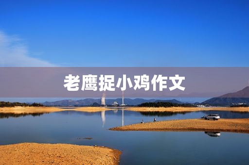 老鹰捉小鸡作文