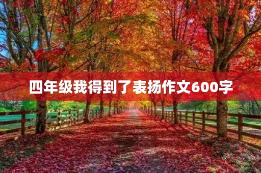 四年级我得到了表扬作文600字 四年级我得到了表扬作文600字