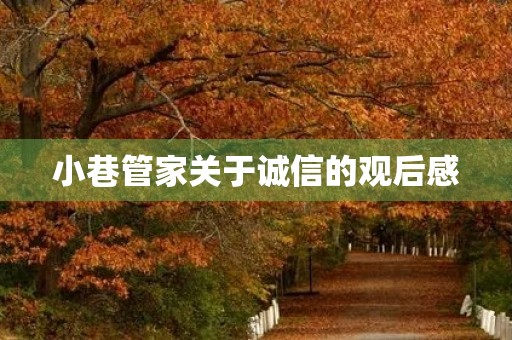 小巷管家关于诚信的观后感 小巷管家关于诚信的观后感