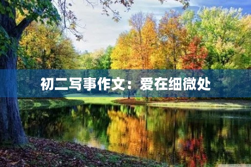 初二写事作文：爱在细微处