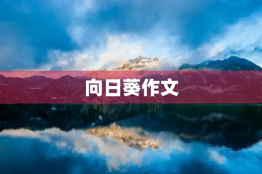 向日葵作文