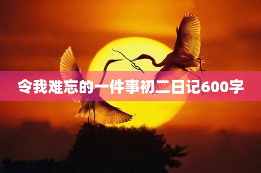 令我难忘的一件事初二日记600字