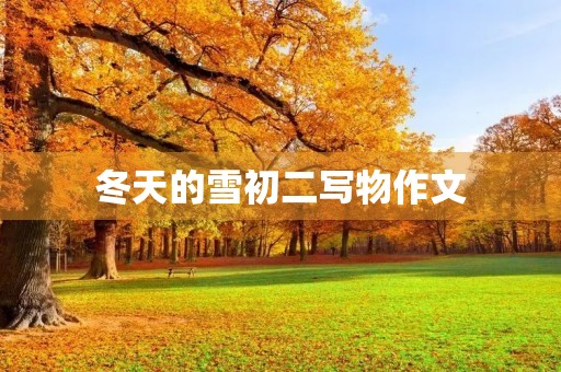 冬天的雪初二写物作文 冬天的雪初二写物作文