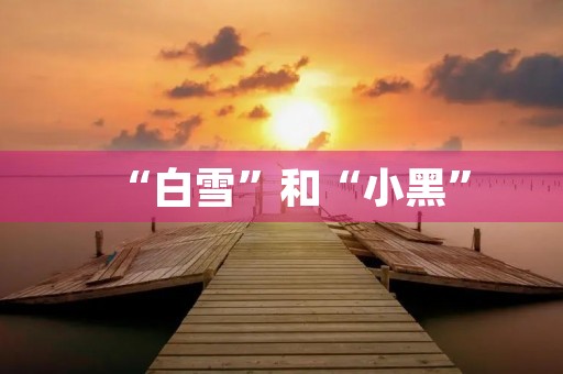 “白雪”和“小黑”