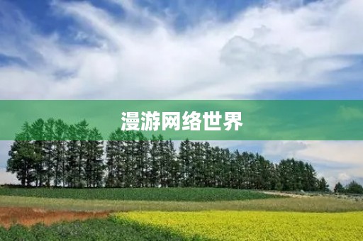 漫游网络世界 漫游网络世界