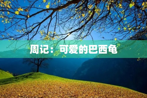 周记:可爱的巴西龟 周记:可爱的巴西龟