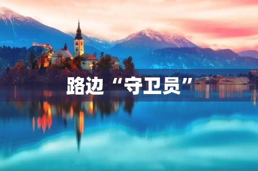 路边“守卫员”