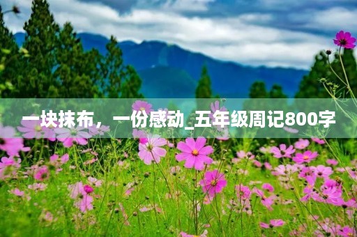 一块抹布,一份感动_五年级周记800字 一块抹布,一份感动_五年级周记800字