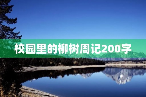 校园里的柳树周记200字 校园里的柳树周记200字