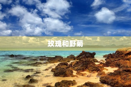 玫瑰和野菊 玫瑰和野菊