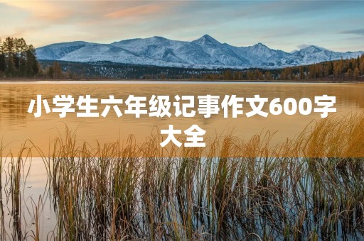 小学生六年级记事作文600字大全 小学生六年级记事作文600字大全