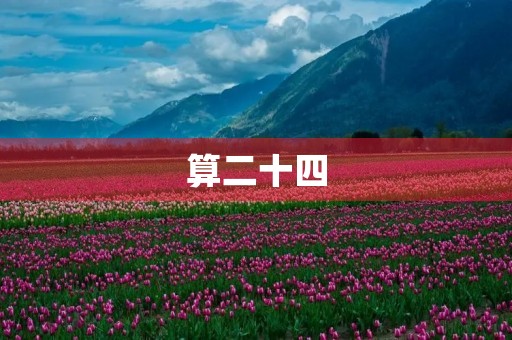 算二十四 算二十四