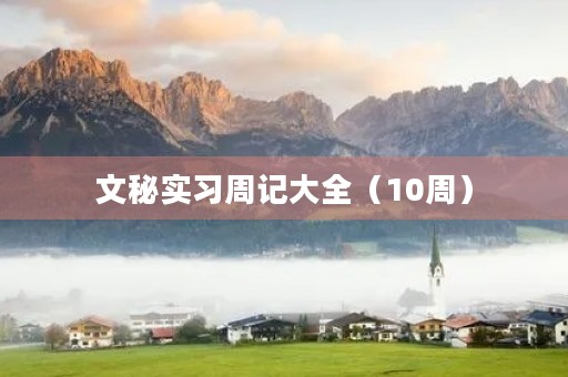 文秘实习周记大全（10周）
