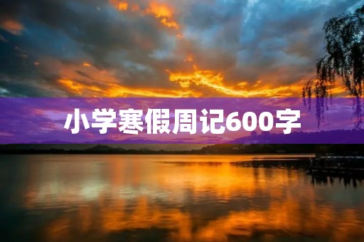 小学寒假周记600字 小学寒假周记600字