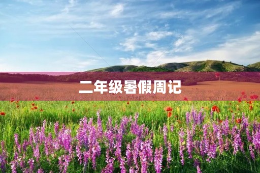 二年级暑假周记