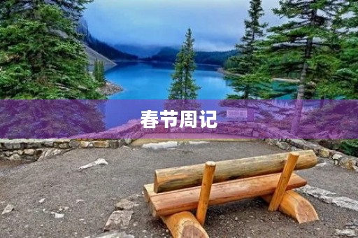春节周记 春节周记