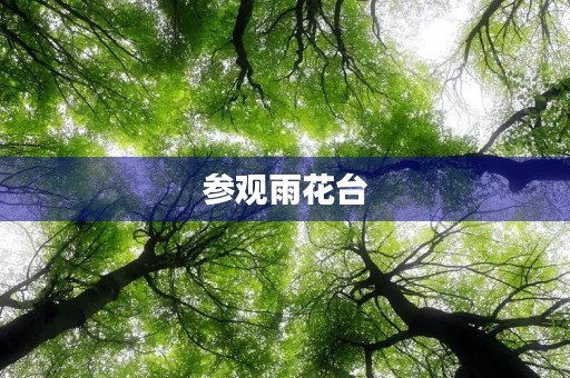 参观雨花台 参观雨花台