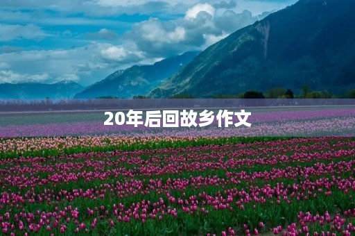 20年后回故乡作文 20年后回故乡作文