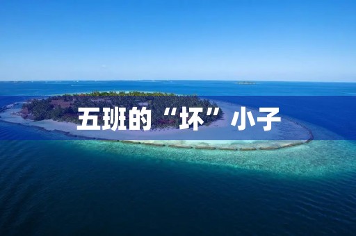 五班的“坏”小子 五班的“坏”小子