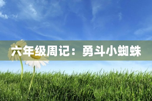 六年级周记:勇斗小蜘蛛 六年级周记:勇斗小蜘蛛