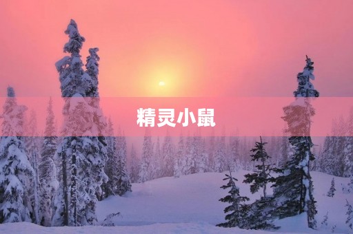 精灵小鼠 精灵小鼠