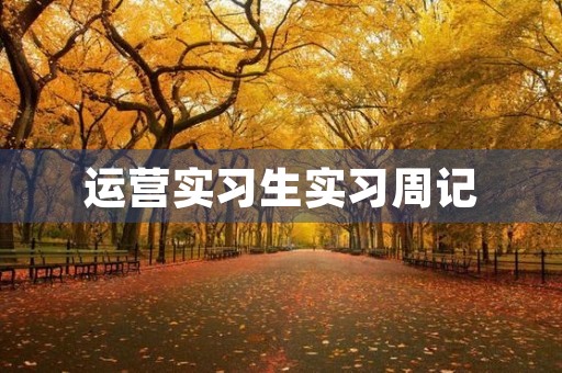运营实习生实习周记 运营实习生实习周记