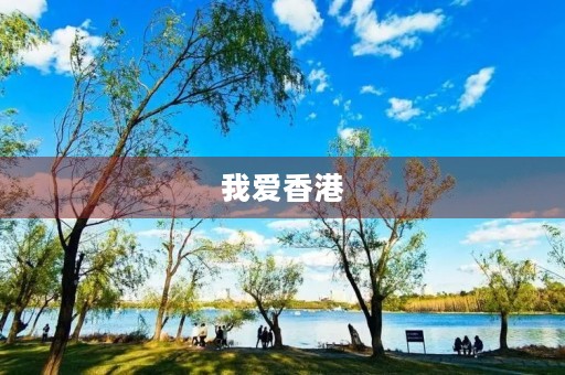 我爱香港 我爱香港