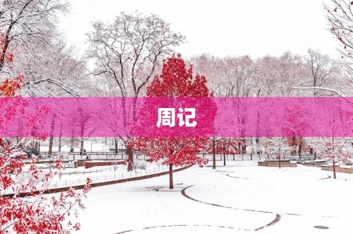 周记 周记