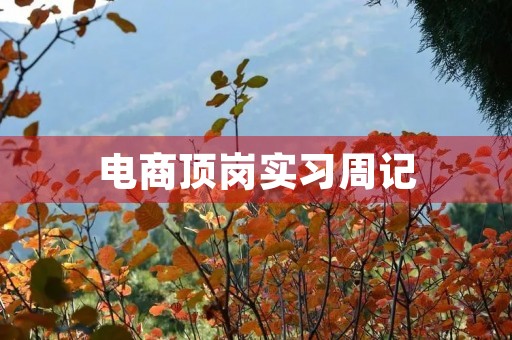 电商顶岗实习周记